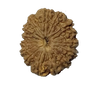 15 Mukhi Natural Nepal Rudraksha - 28.15 mm size  (with Lab Certificate)