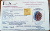 13 Mukhi Natural Nepal Rudraksha - 23.20 mm Size ( With Lab Certificate )