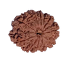 11 Mukhi Natural Rudraksha 25.90 mm ( Lab Certified )