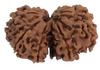 9 Mukhi Natural Nepal Gauri Shankar Rudraksha 29.79 mm ( Lab Certified )