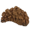 1 Mukhi Kaju ( Chandra ) Shape Rudraksha 31.68 mm ( Lab Certified )