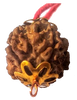 4 Mukhi Natural Nepal Rudraksha with Brass Clips and Thread 20.56 mm ( Lab Certified )