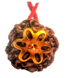 4 Mukhi Natural Nepal Rudraksha with Brass Clips and Thread 19.21 mm ( Lab Certified )