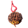 6 Mukhi Natural Nepal Rudraksha with Brass Clips and Thread 17.32 mm ( Lab Certified )