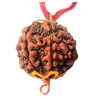 6 Mukhi Natural Nepal Rudraksha with Brass Clips and Thread 17.58 mm ( Lab Certified )