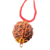 5 Mukhi Natural Nepal Rudraksha with Brass Clips and Thread 19.87 mm ( Lab Certified )