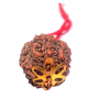 5 Mukhi Natural Nepal Rudraksha with Brass Clips and Thread 18.95 mm ( Lab Certified )