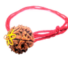 5 Mukhi Natural Nepal Rudraksha with Brass Clips and Thread 20.32 mm ( Lab Certified )