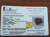 3 Mukhi Natural Rudraksha India Origin 24.22 mm ( Lab Certified )